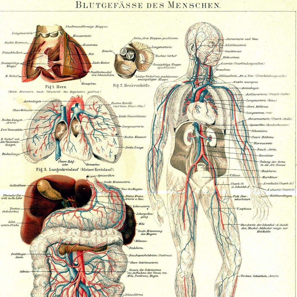 Aircampus Graz Medizin Anatomie Karte