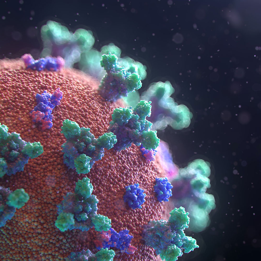 COVID-Virus-Animation auf schwarzem Hintergrund